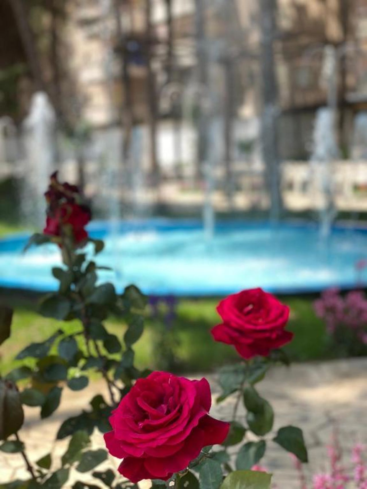 Atrium Deluxe Resort