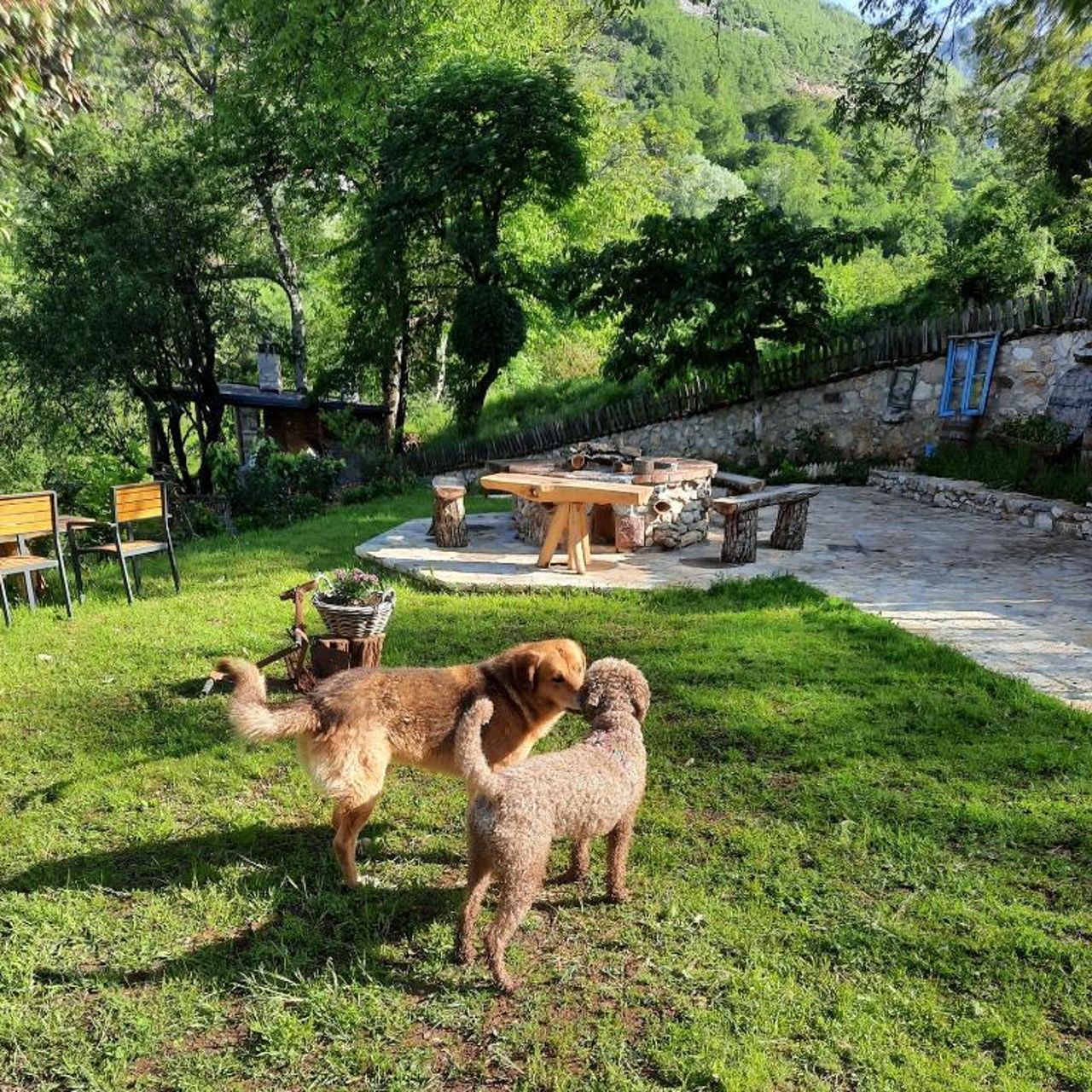 Kulla Hupi Agriturism