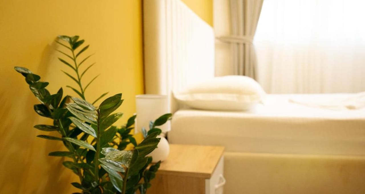 Hotel Luris