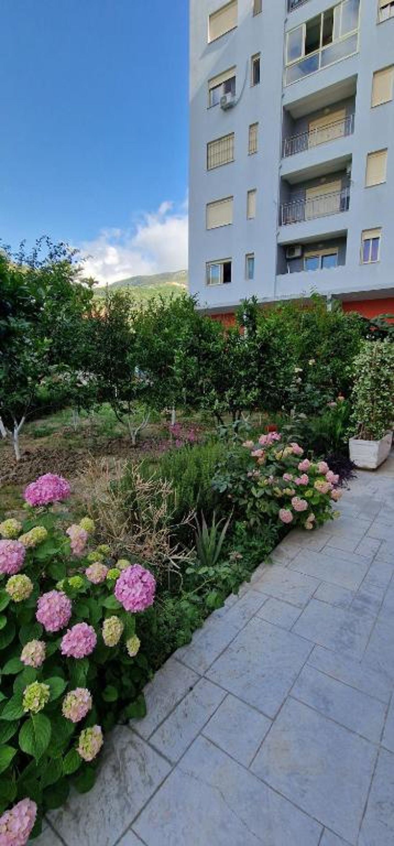 Lovely duplex apartment with patio, 100m from the beach!