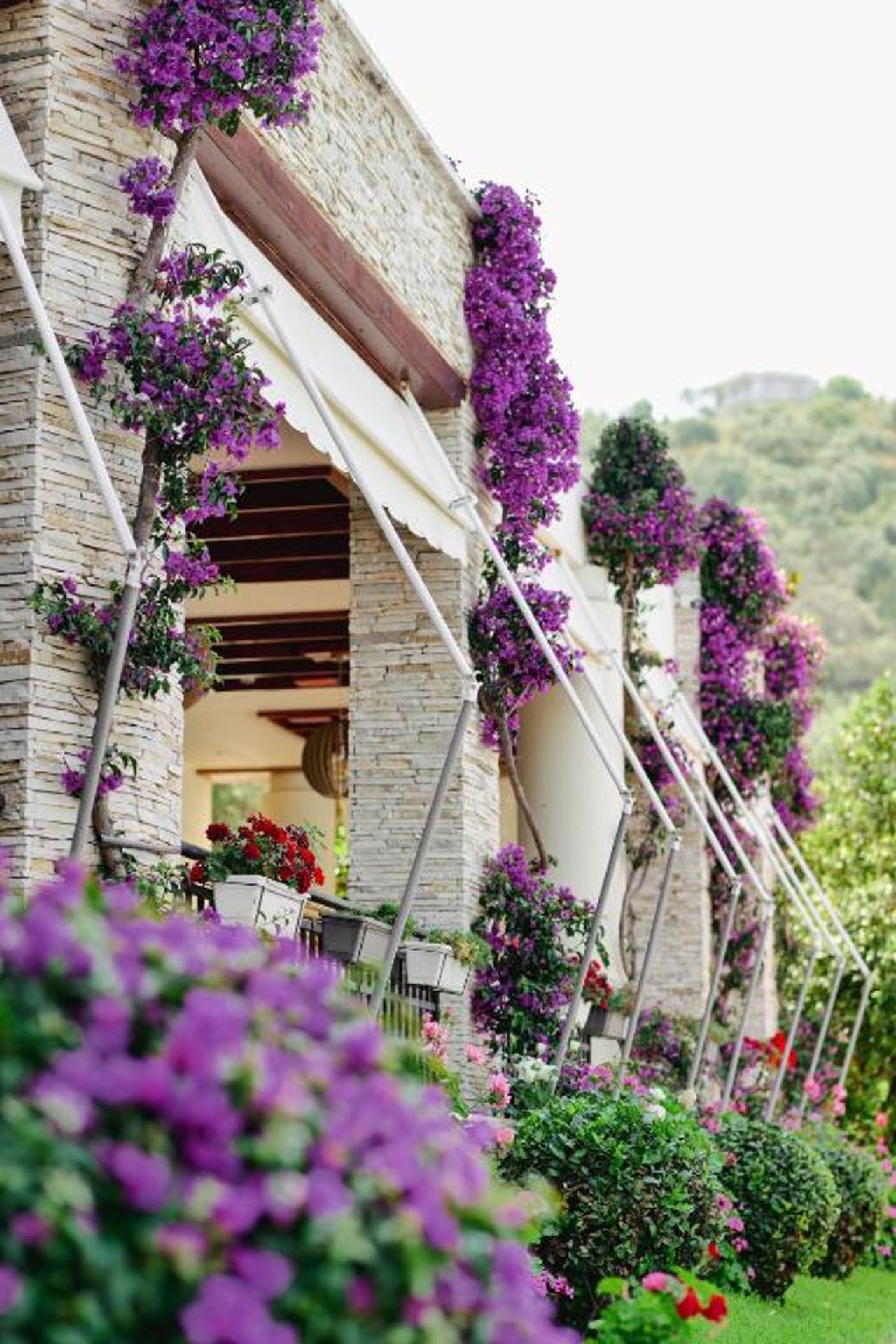 Rapos Resort Hotel