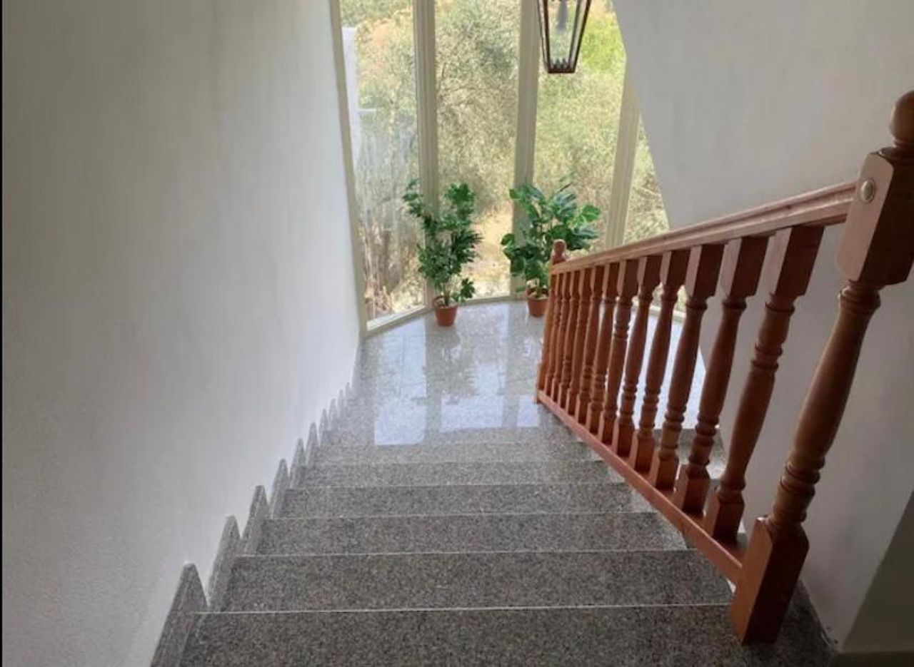 Qerana's rooms: Corner of nature