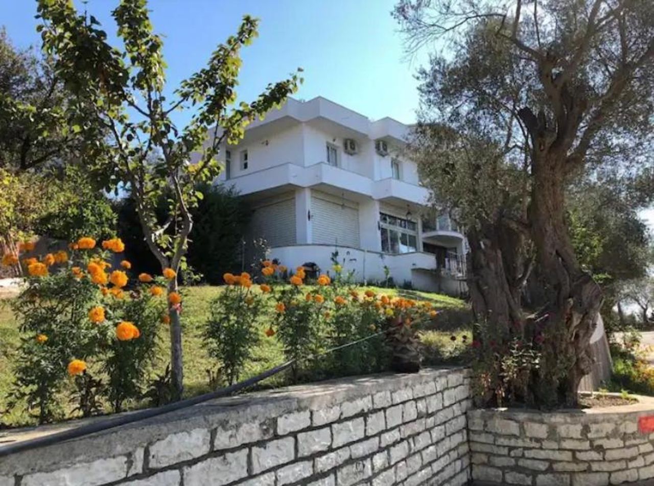 Qerana's rooms: Corner of nature
