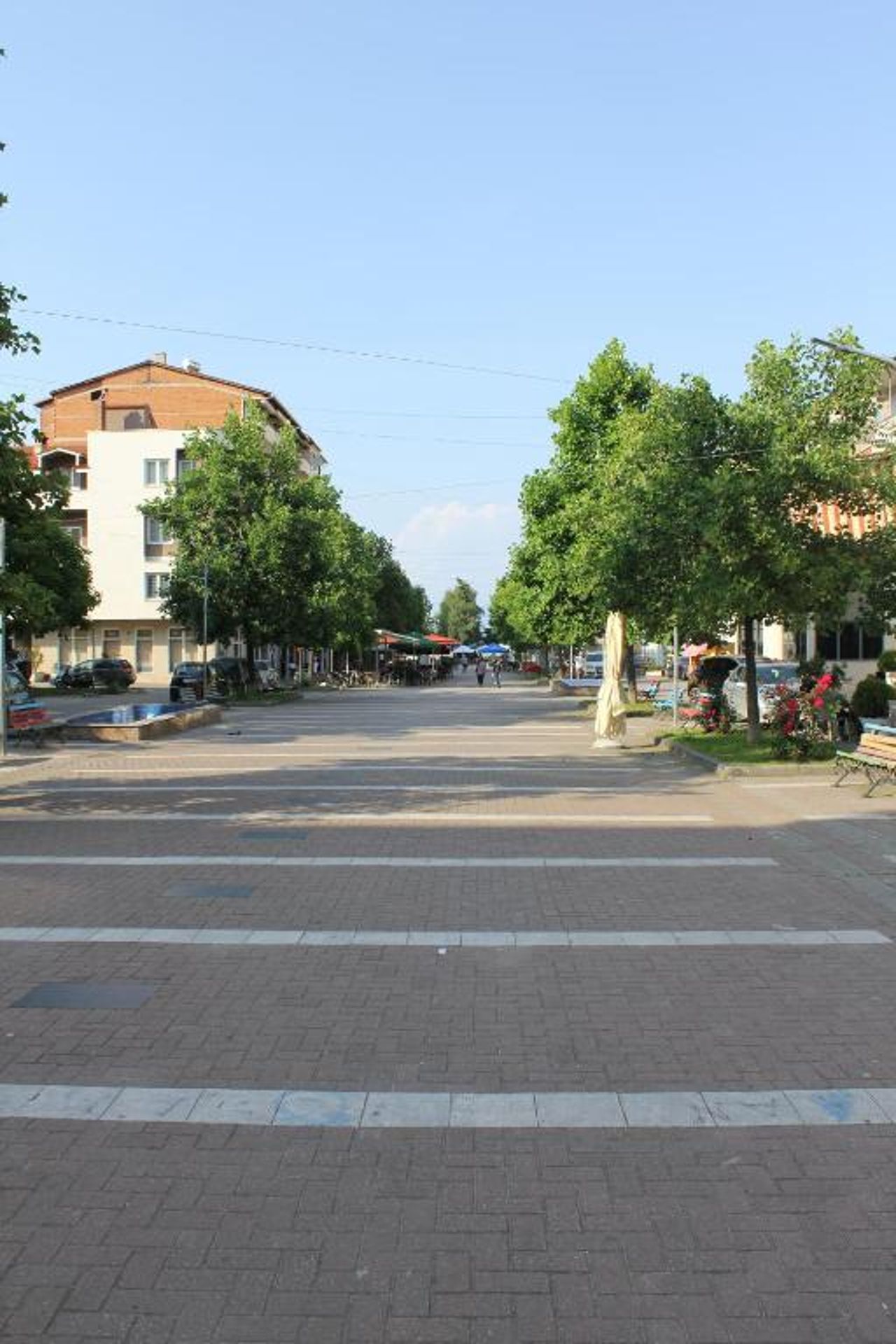 Swans flat in Pogradec, albania