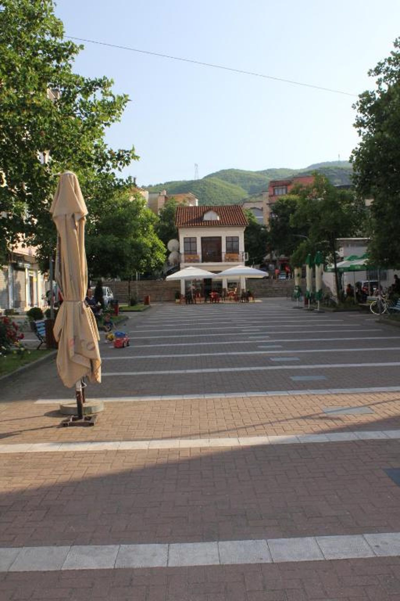 Swans flat in Pogradec, albania