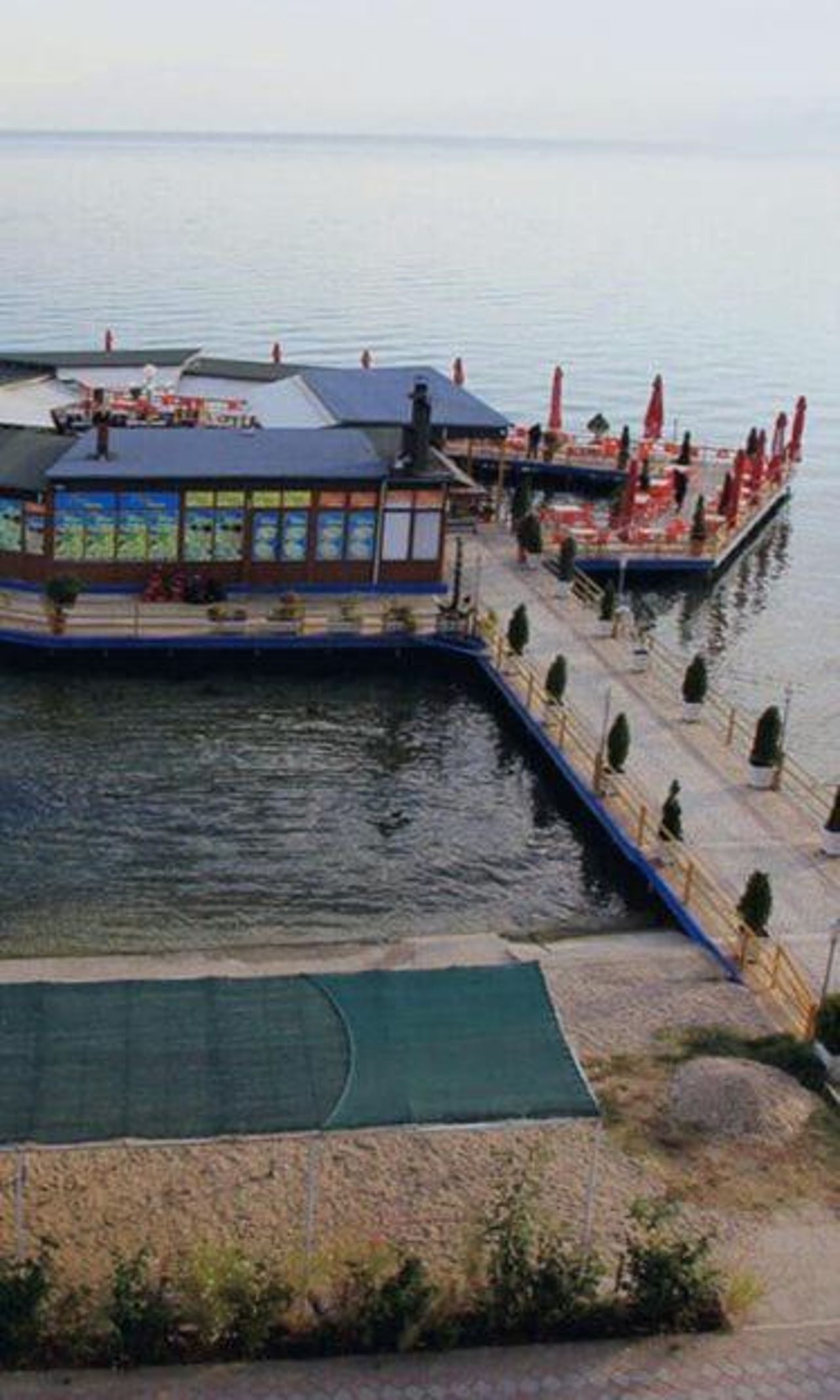 Swans flat in Pogradec, albania