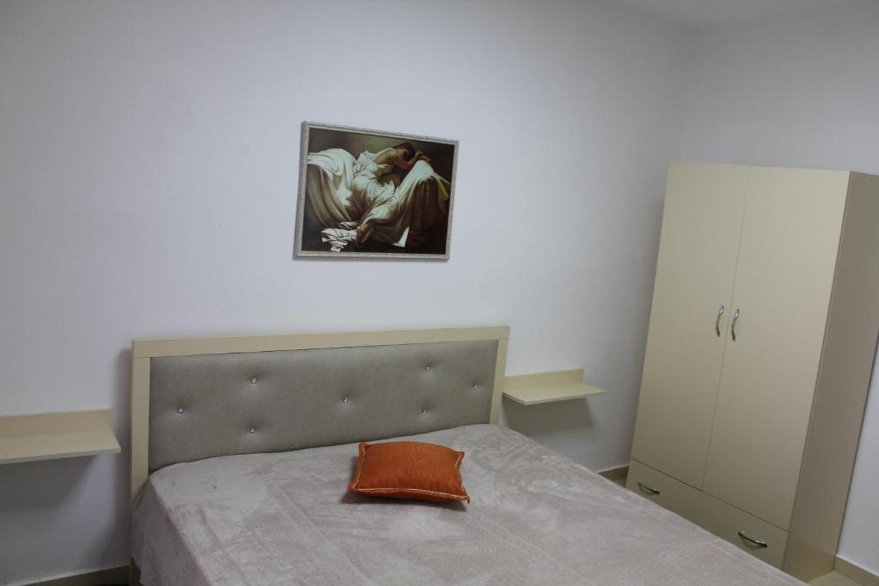Swans flat in Pogradec, albania