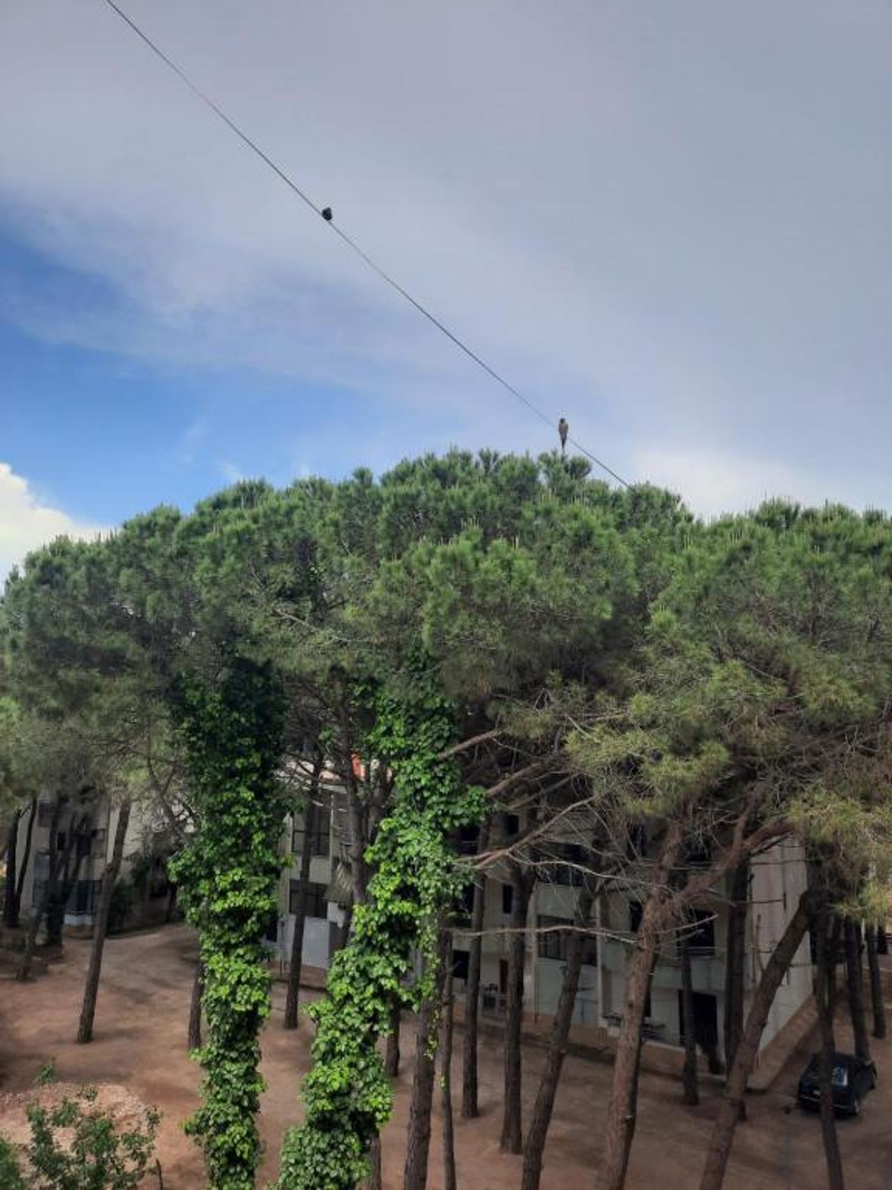 Apartament Golem Holiday Apartment