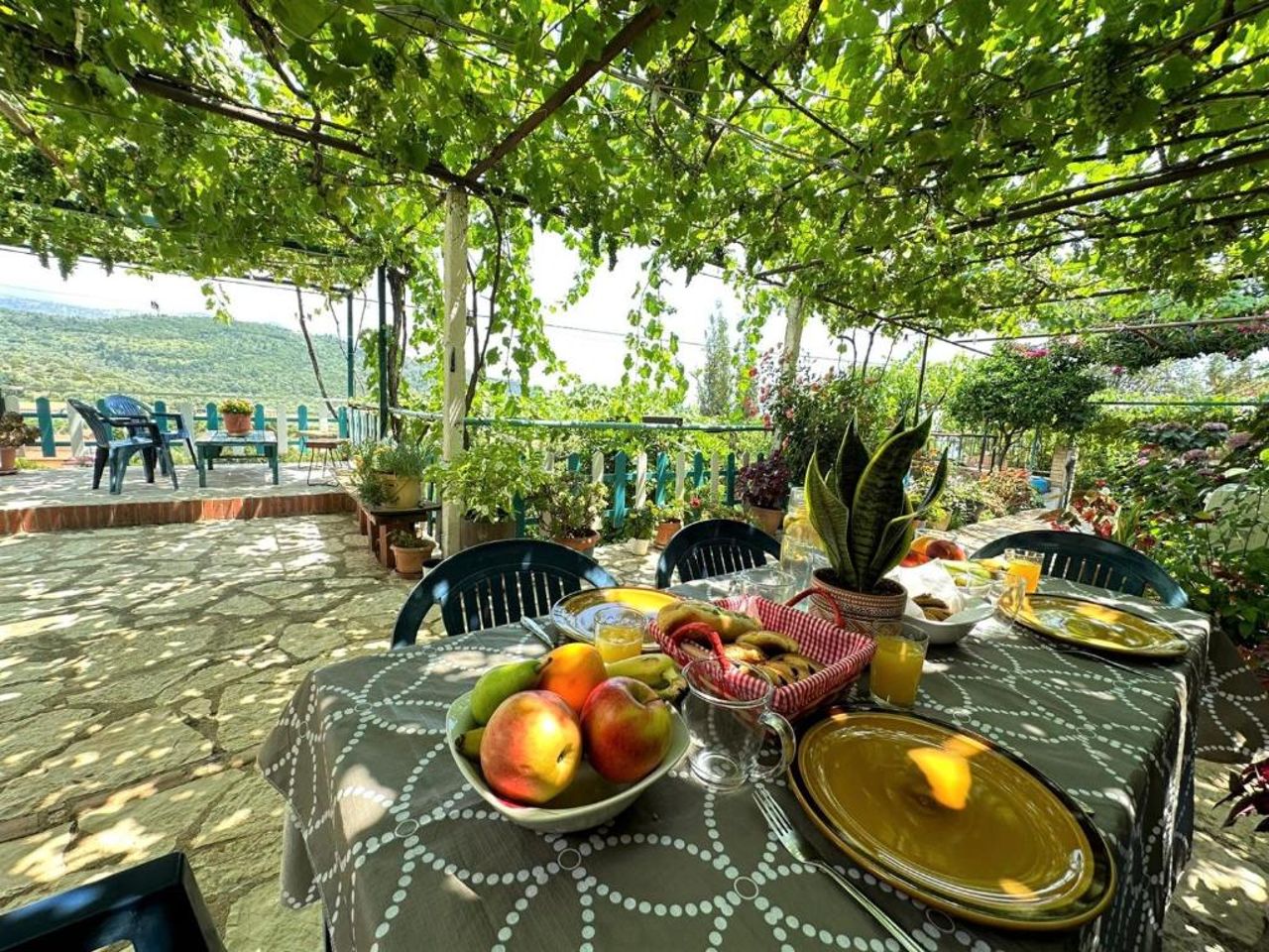 Boungainvillea