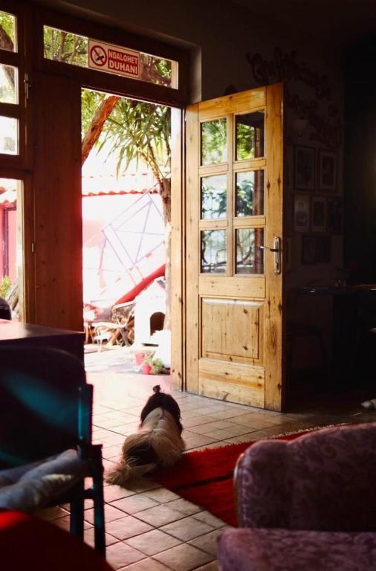 Red Goat Hostel