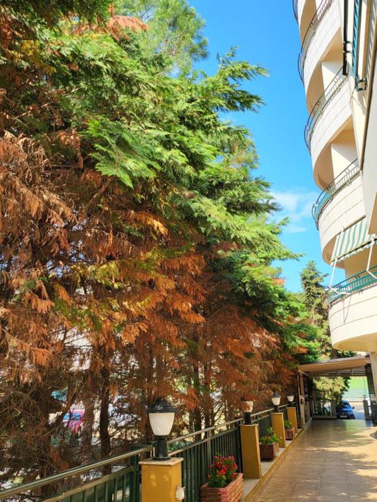 Ejstel Residence Apartments