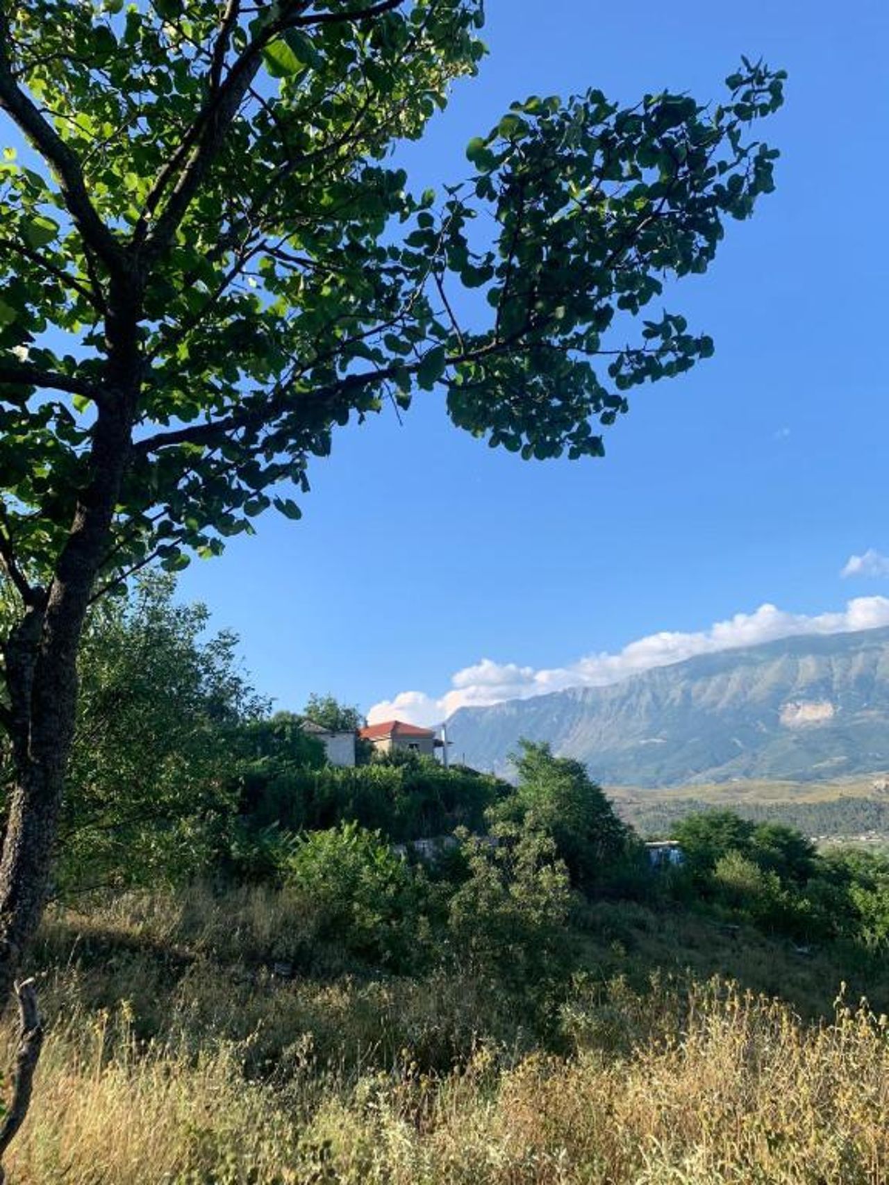 Isaraj Guest House
