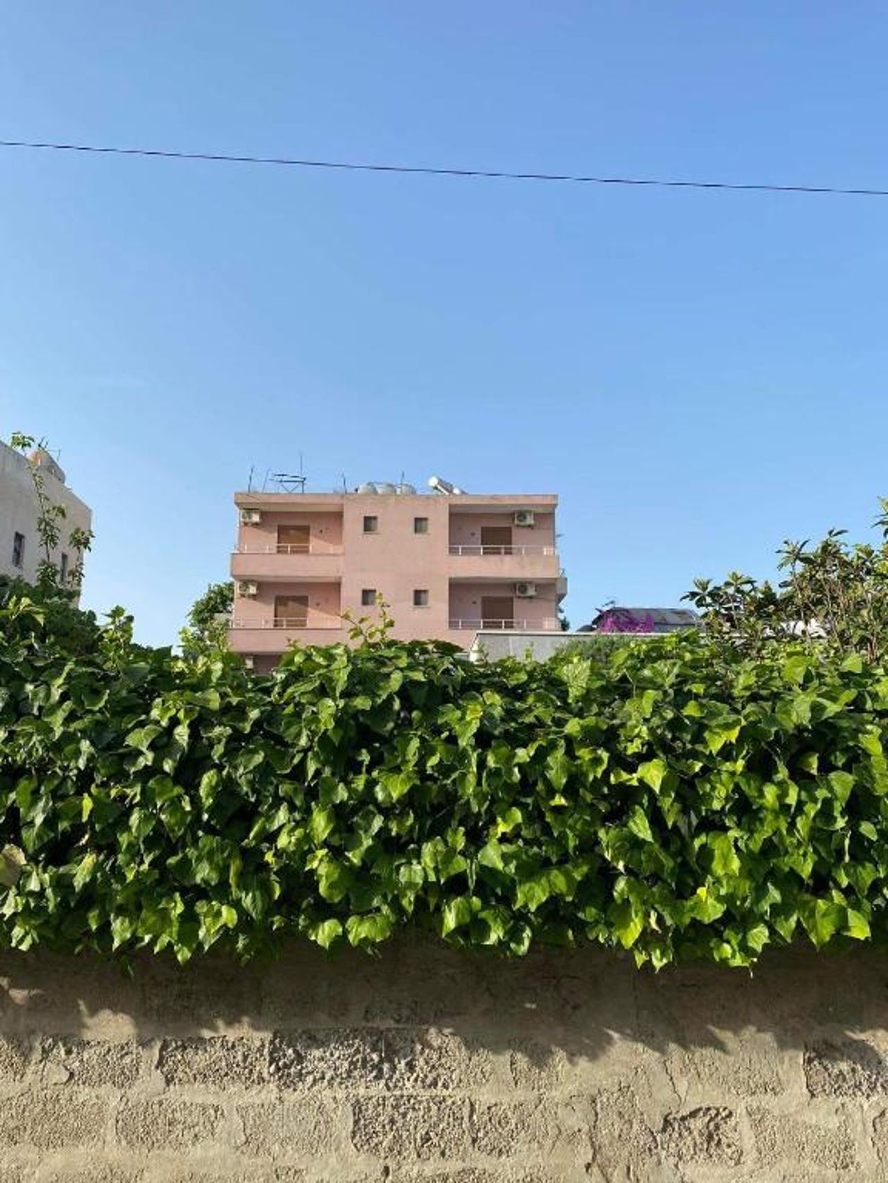 Violca Guest House