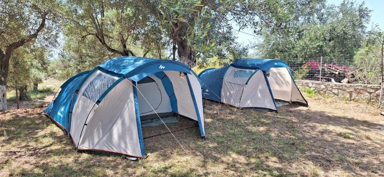 Olive Camping