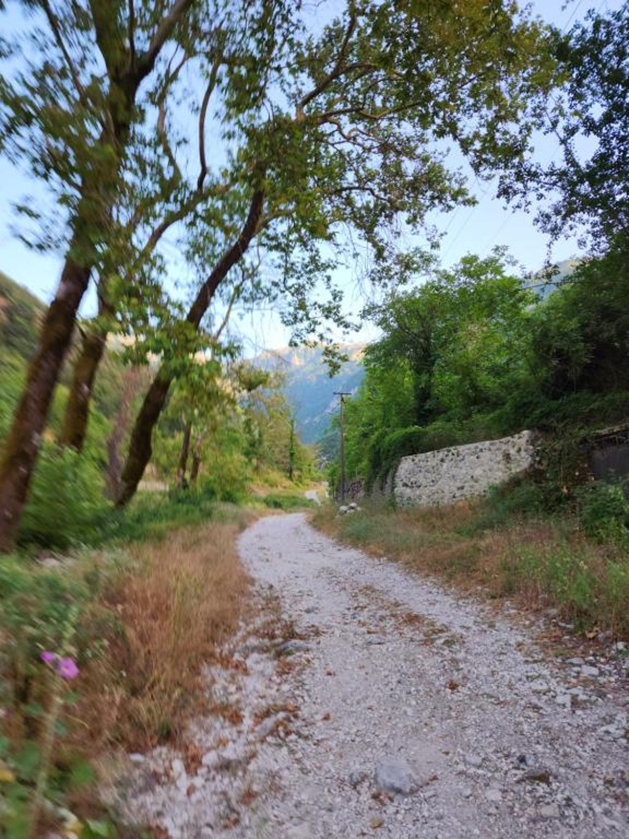 Guest House Seferi