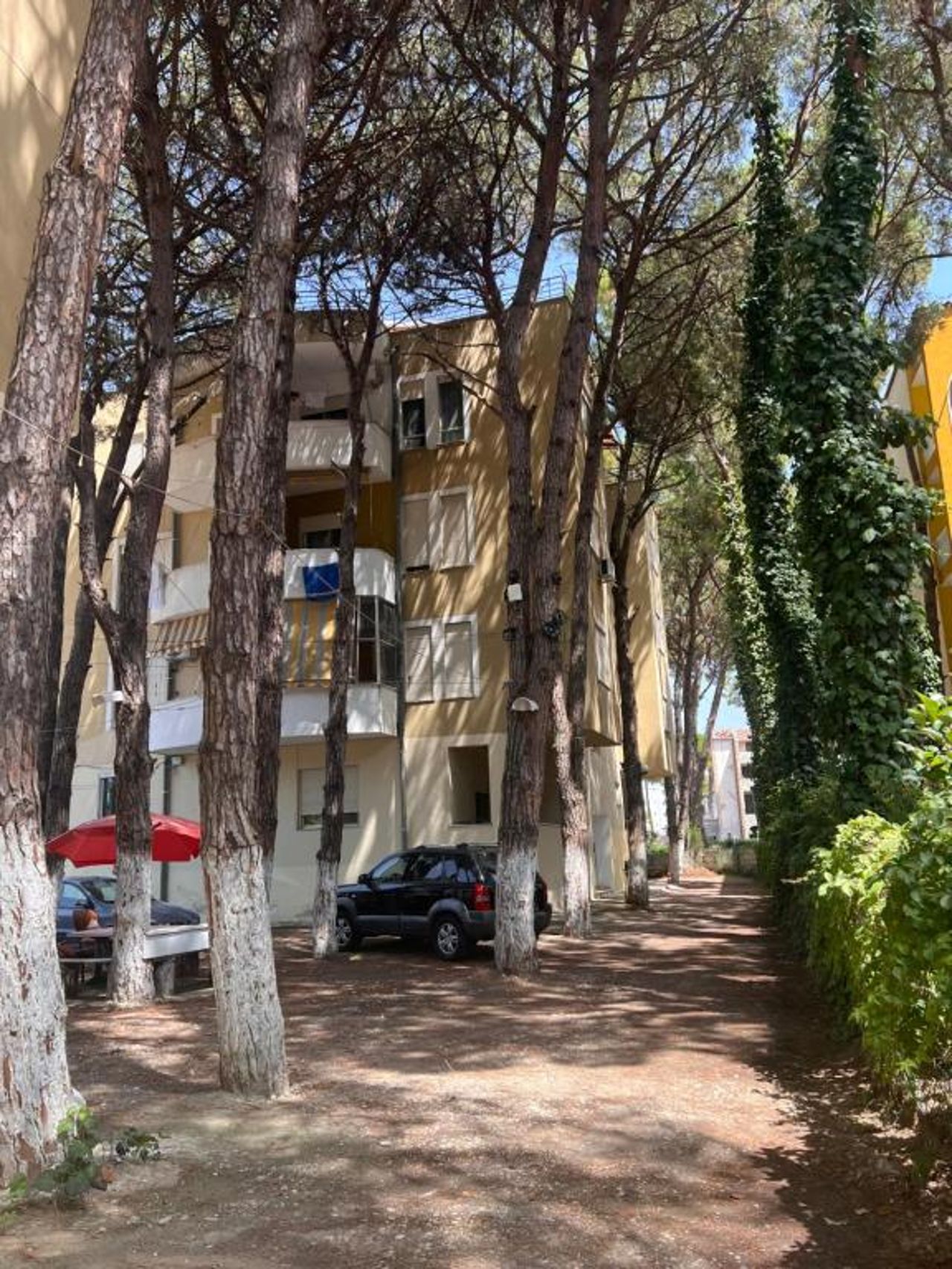 Apartament 15