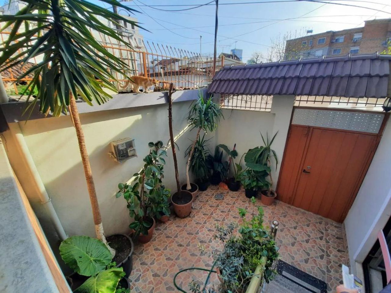 Villa 53