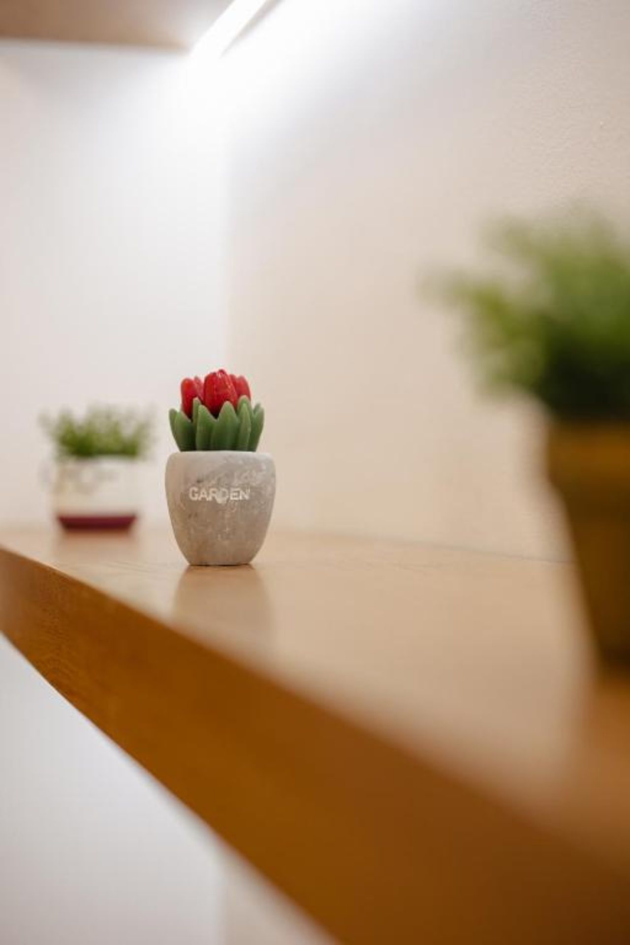 446 Luxury Apartament Center