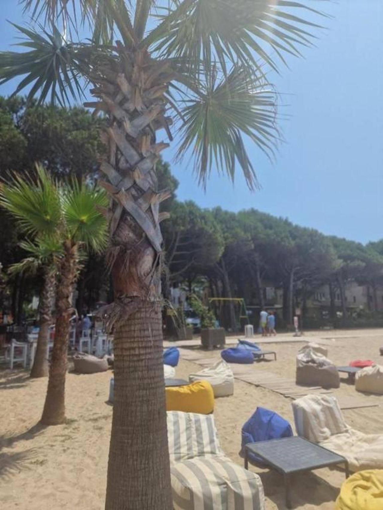 Villa Pearl of Adriatic 4