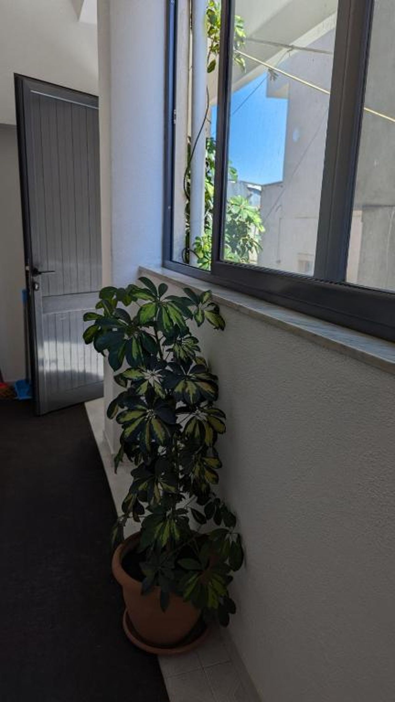 Guest House AZA