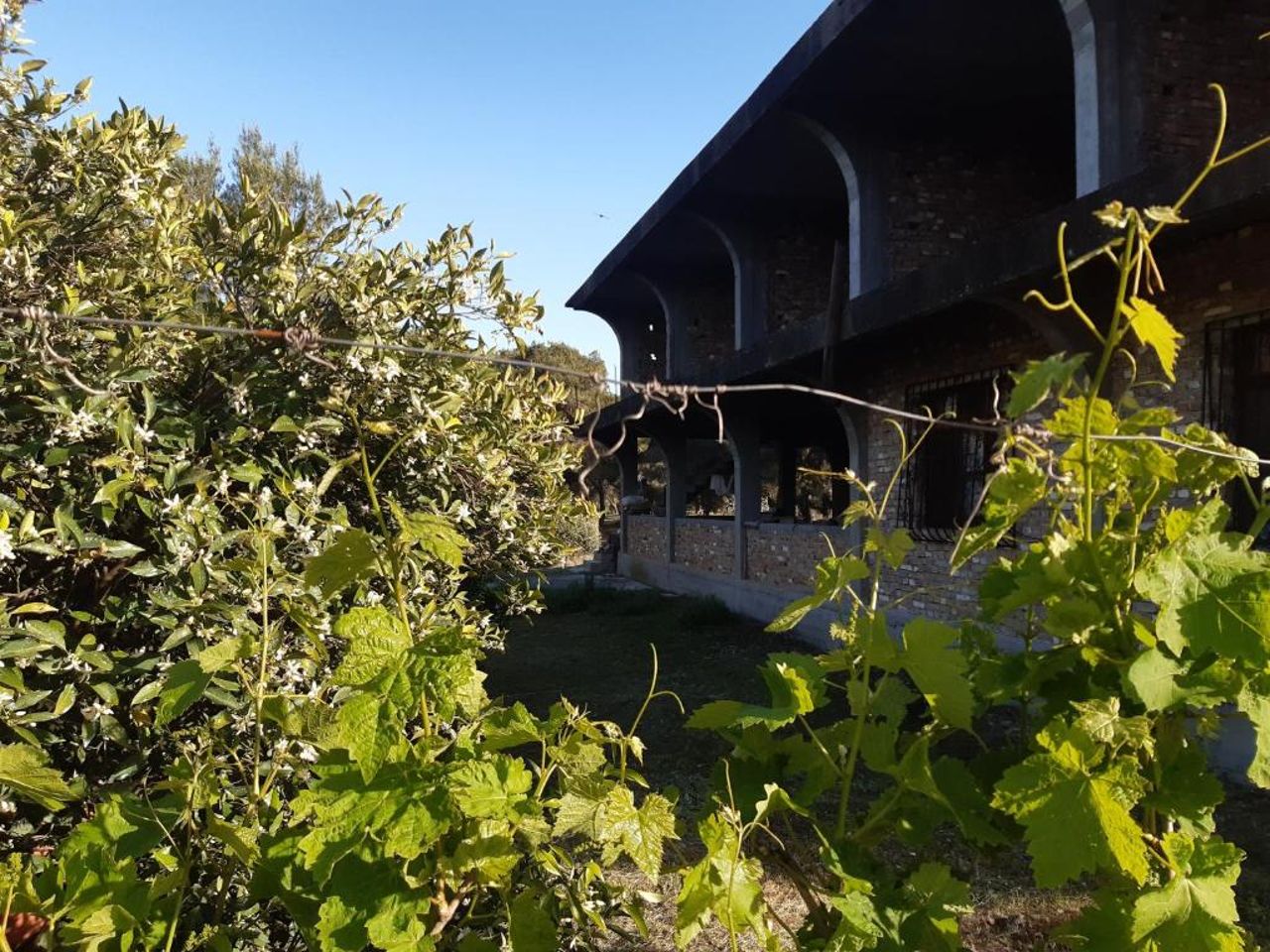 Jorgos Villa