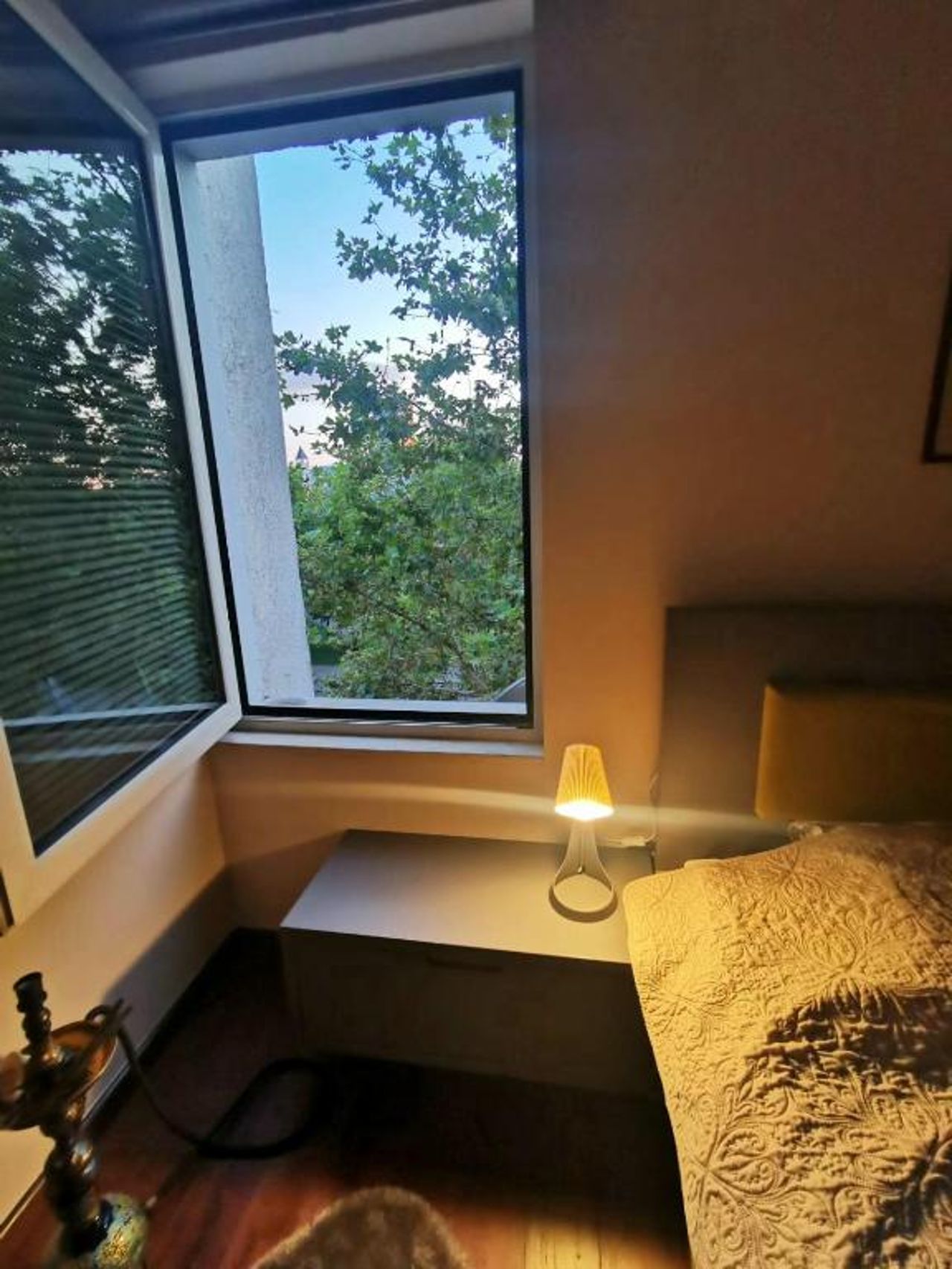 The cozy flat