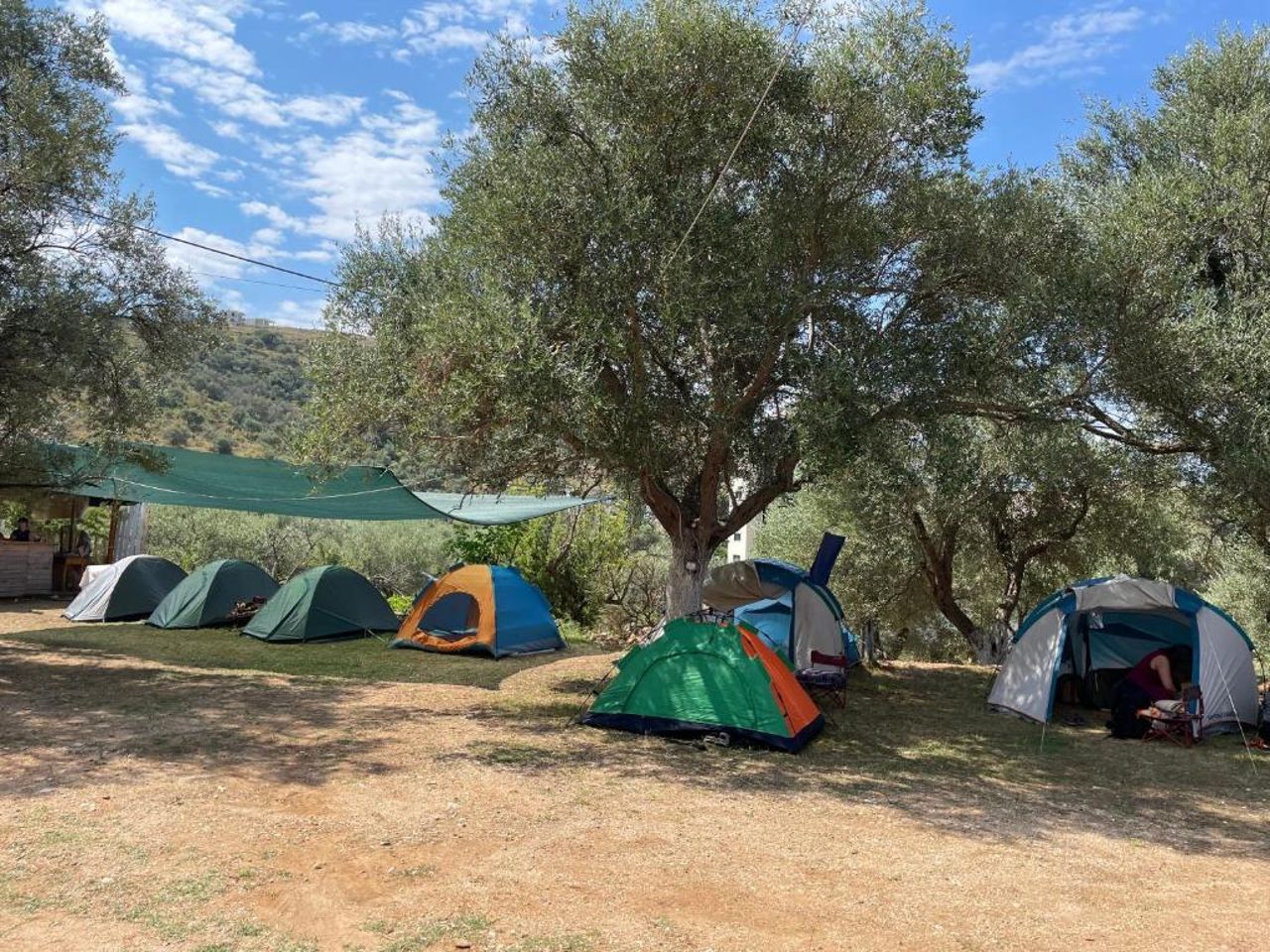 Olive Camping