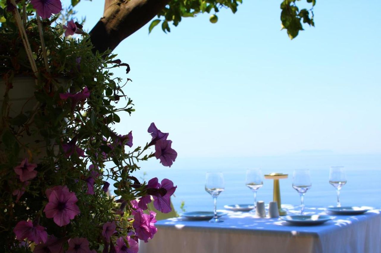 Aphrodite's Garden