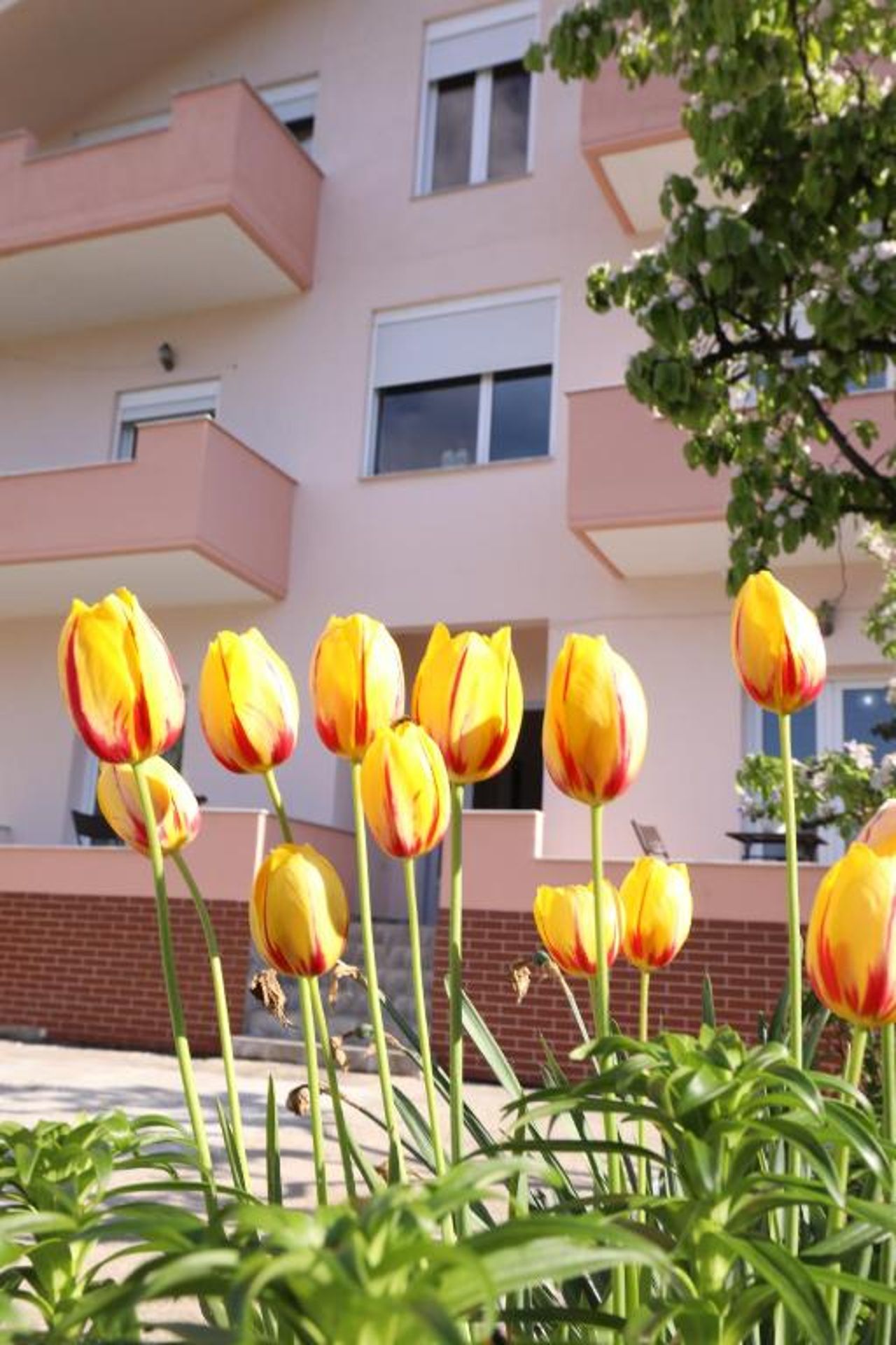 Turka Lake House