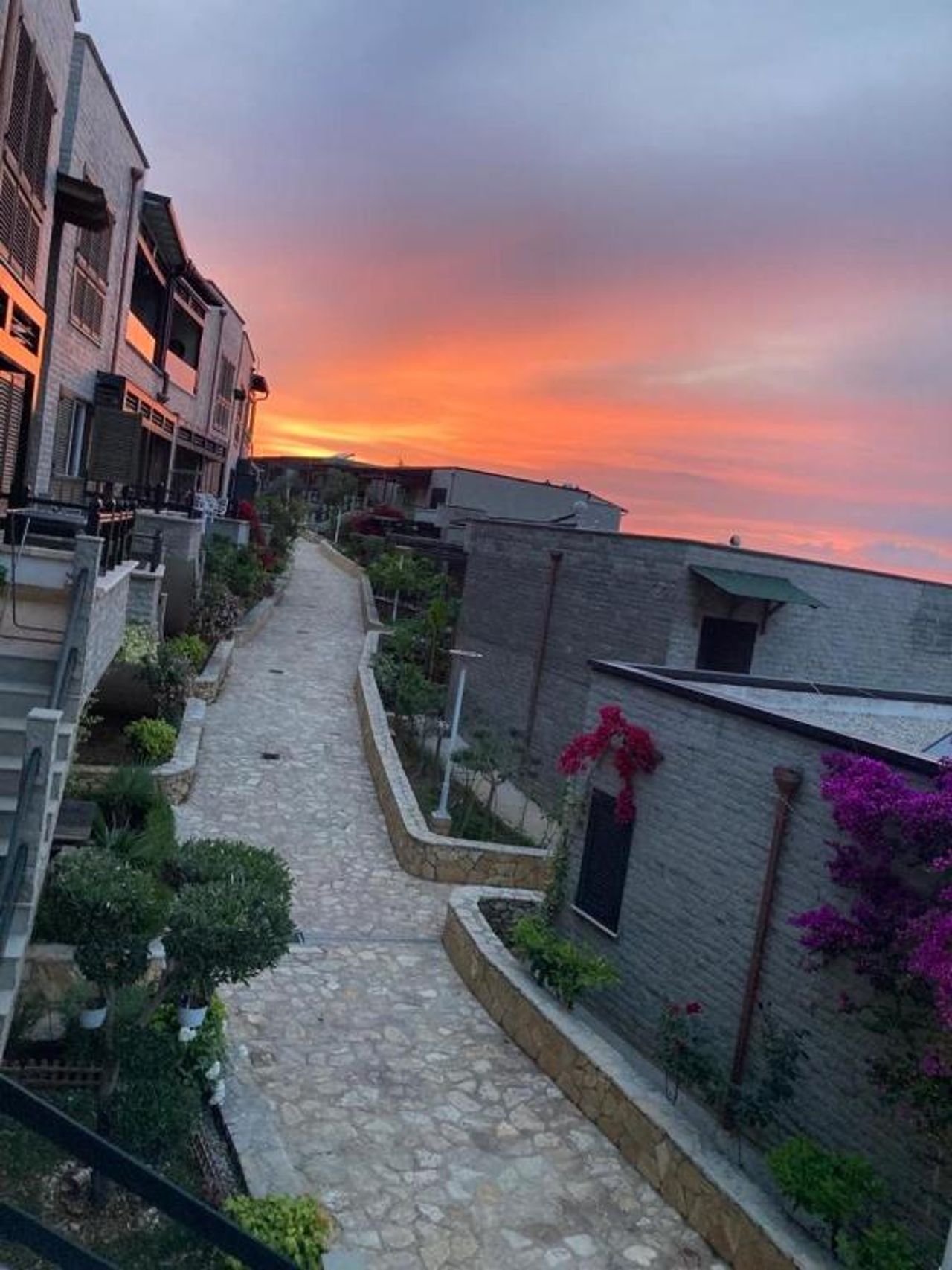Aldi’s Guest House