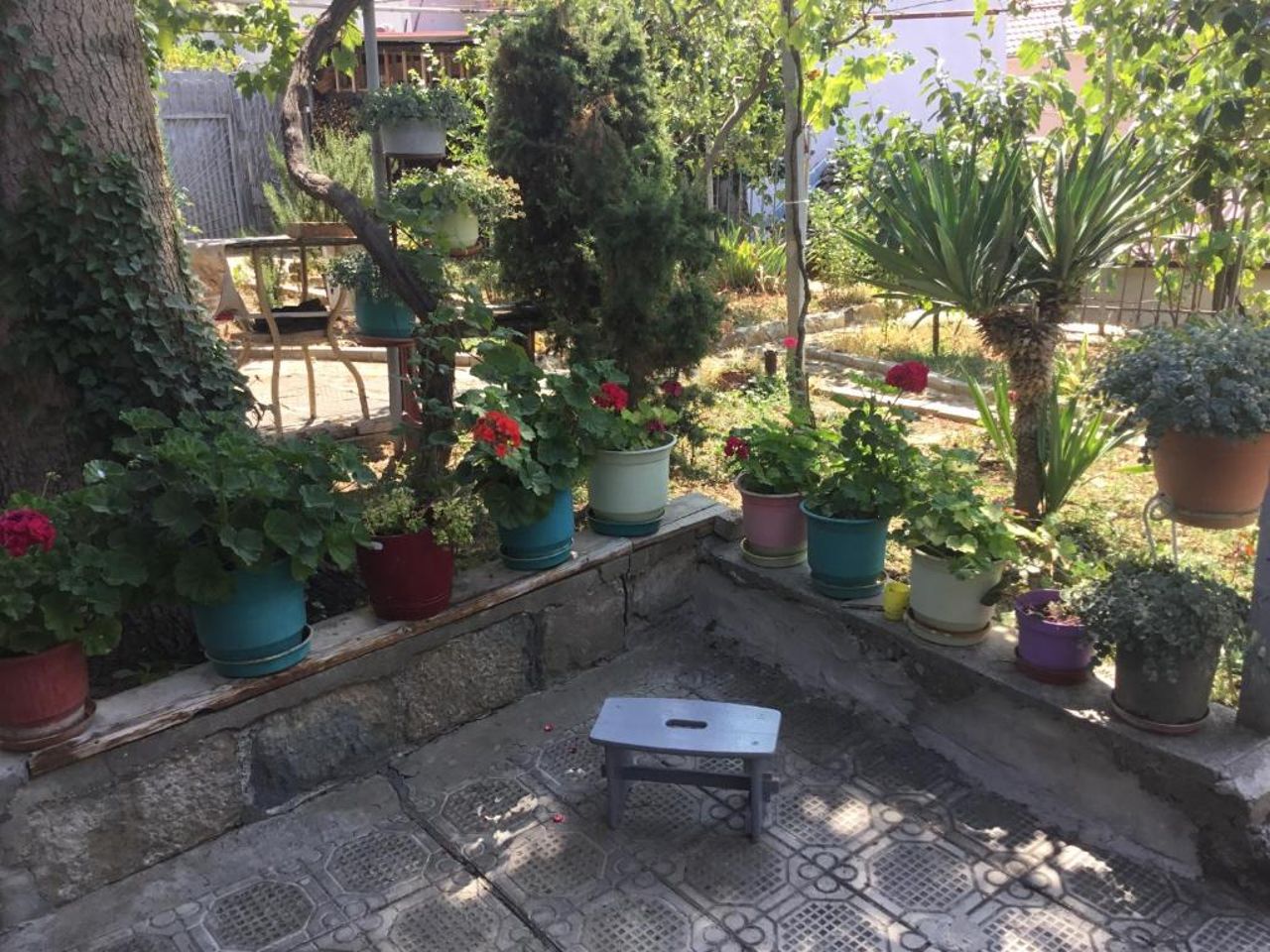 Vila Tradicionale Violeta Korce