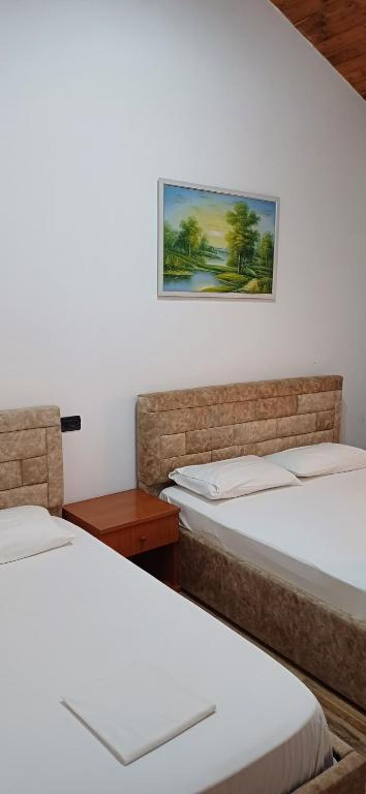 Hotel Lepenica