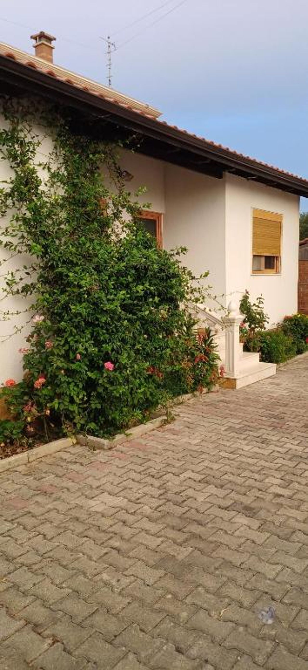 Hotel Lepenica
