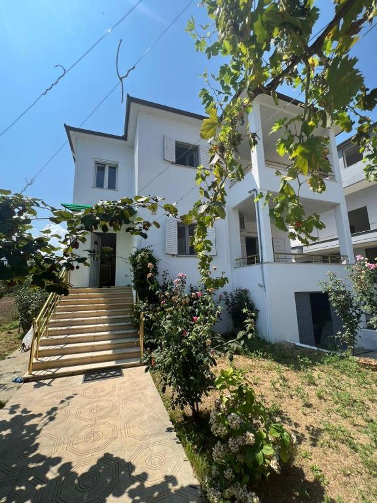 Anushe's apartament