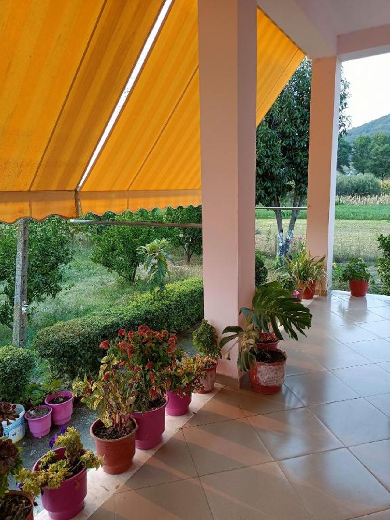 Guest house Fetie
