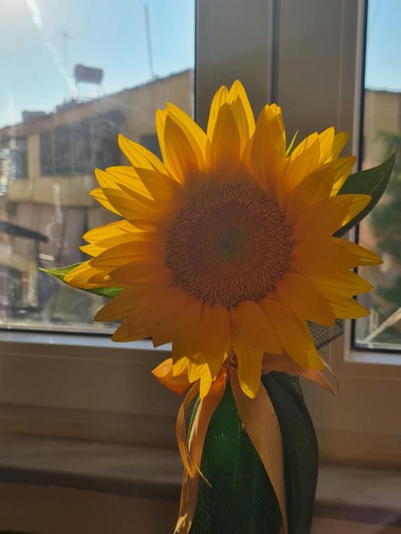 Sunflower Cozy Apartment Near Bllok Area