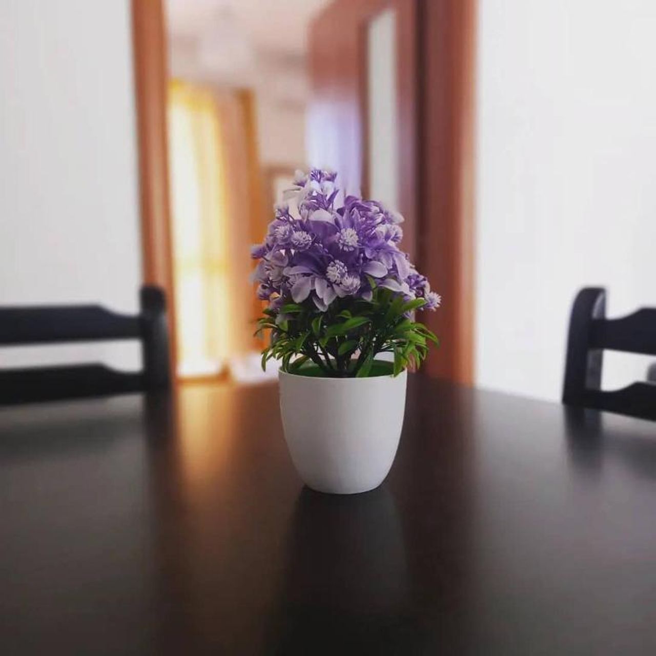 Apartments Kraja
