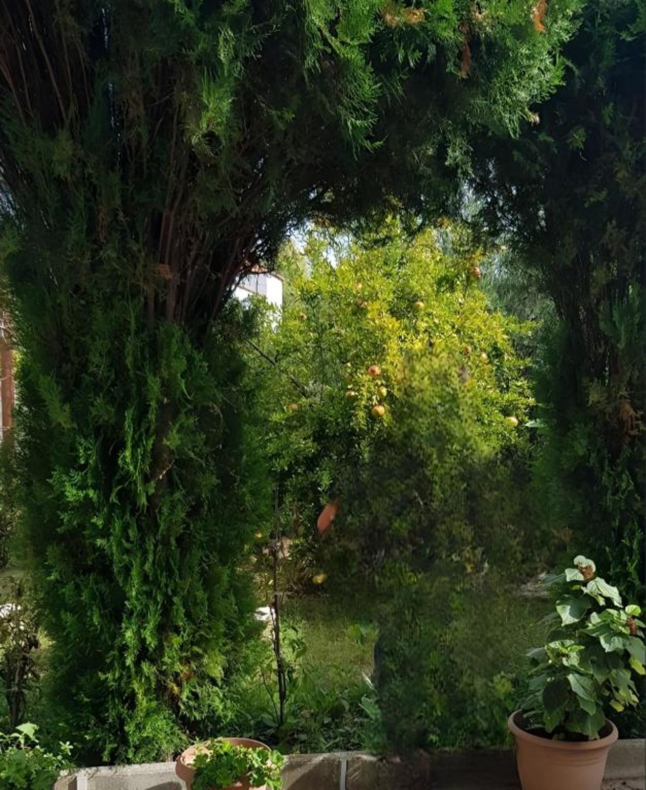 Green Oasis Holiday Home Vlore