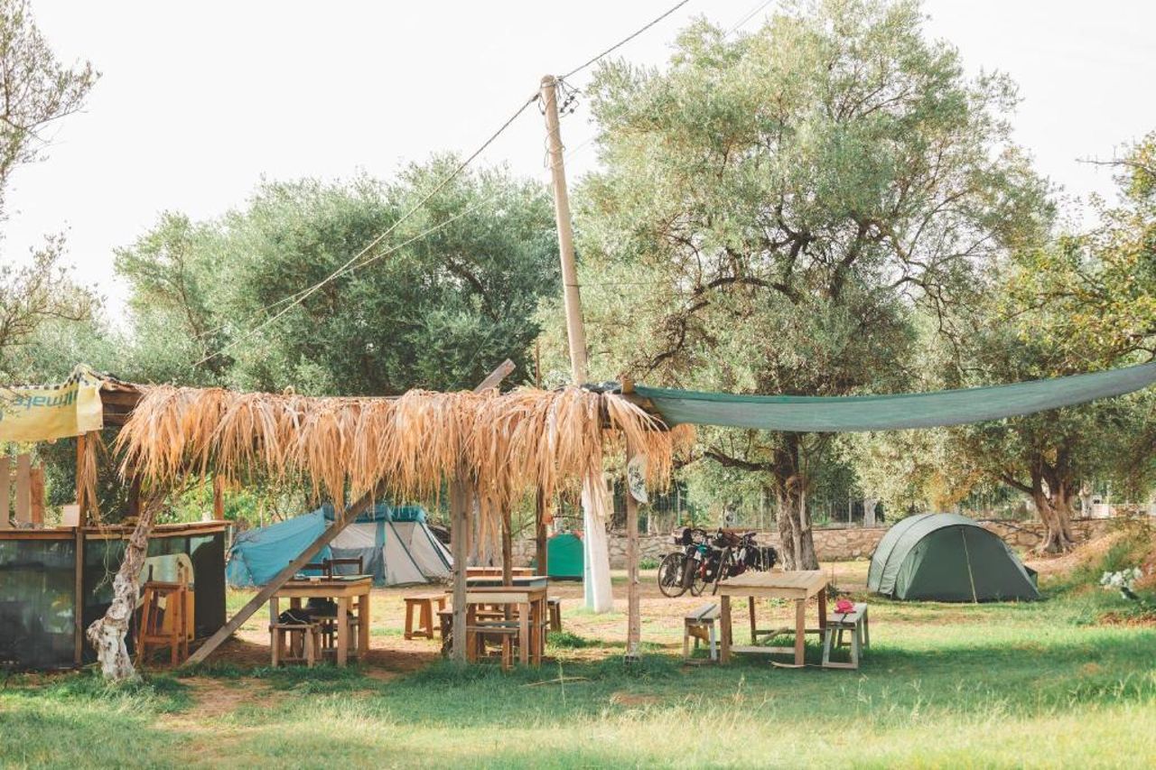 Olive Camping