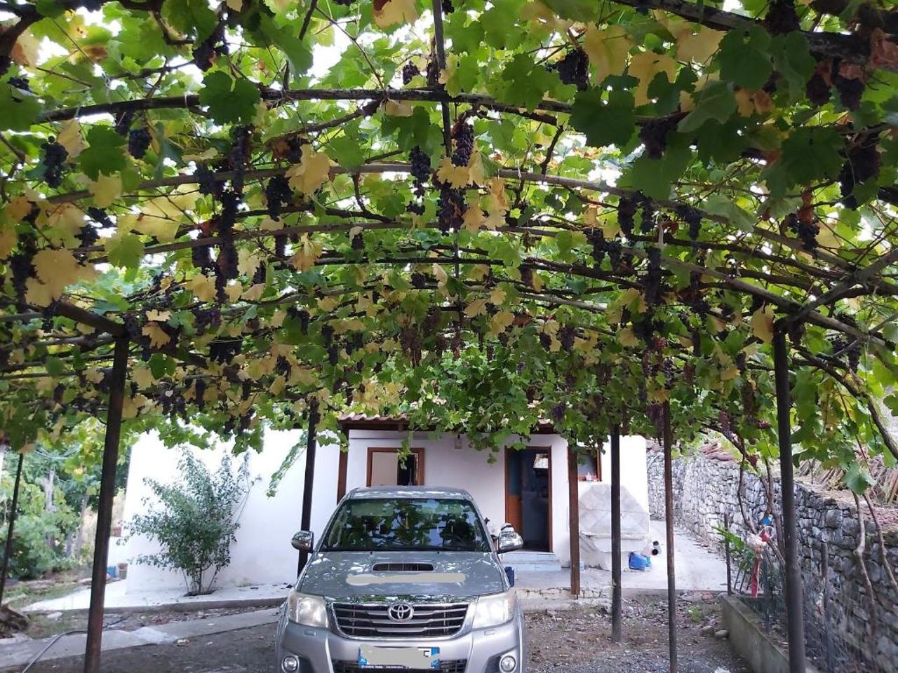 Denis's House