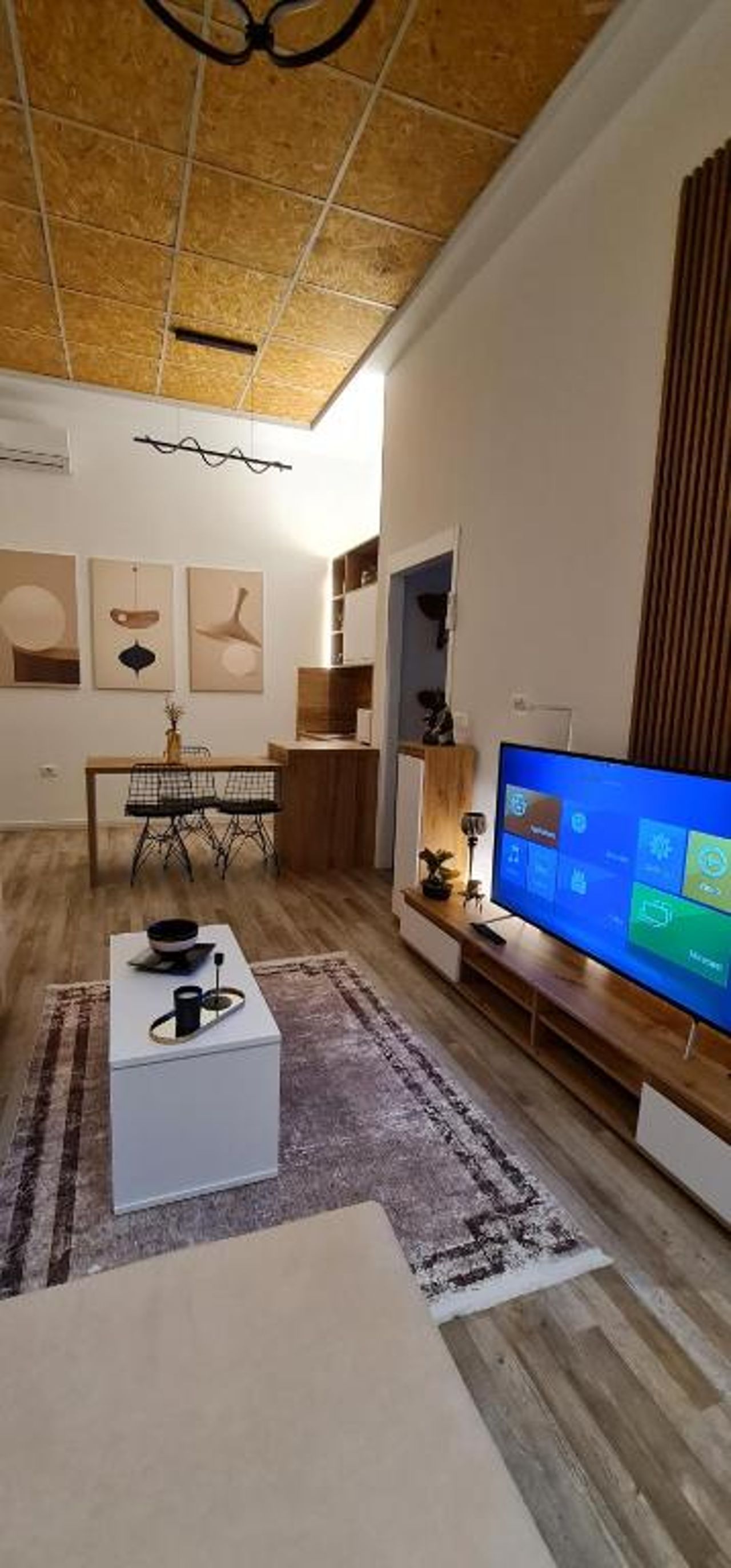 Luxury Apartment