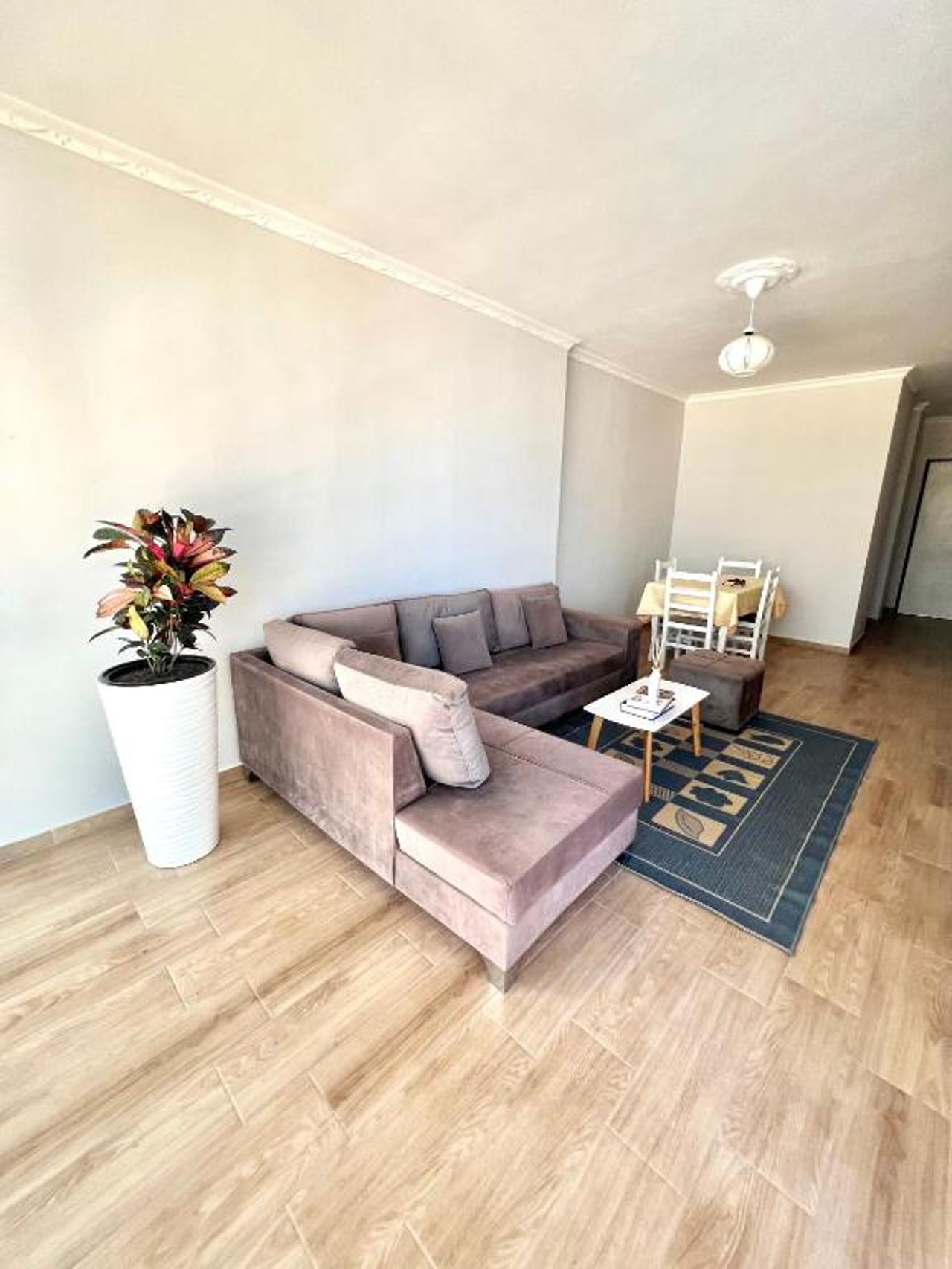 Jemmys appartment