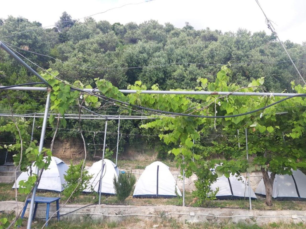 Camping Jungle in Borsh