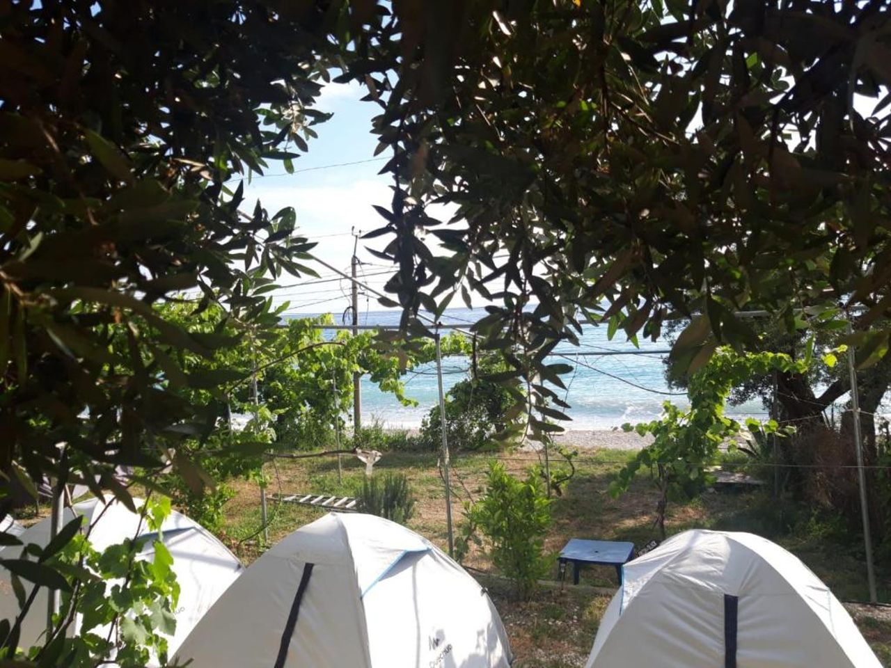 Camping Jungle in Borsh