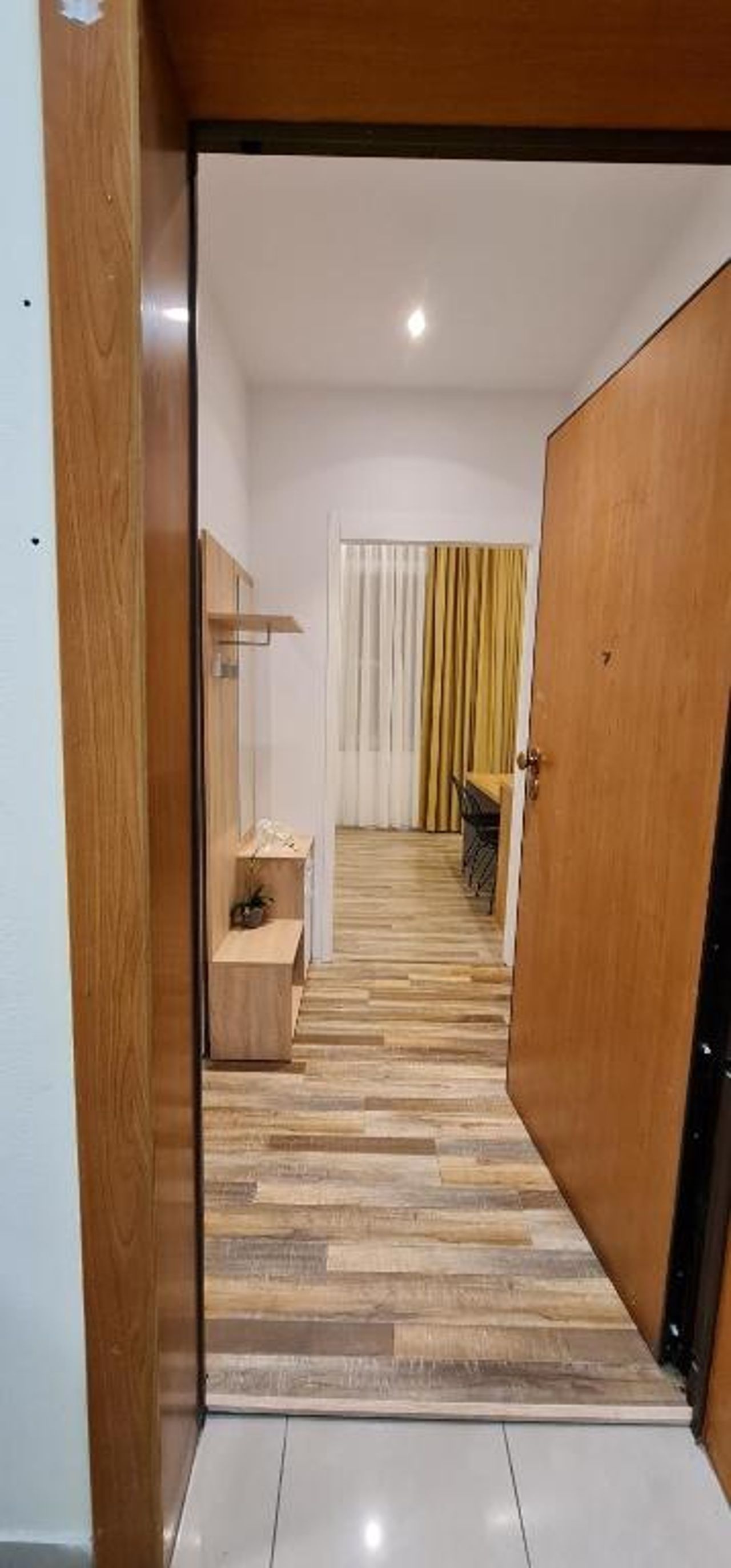 Luxury Apartment