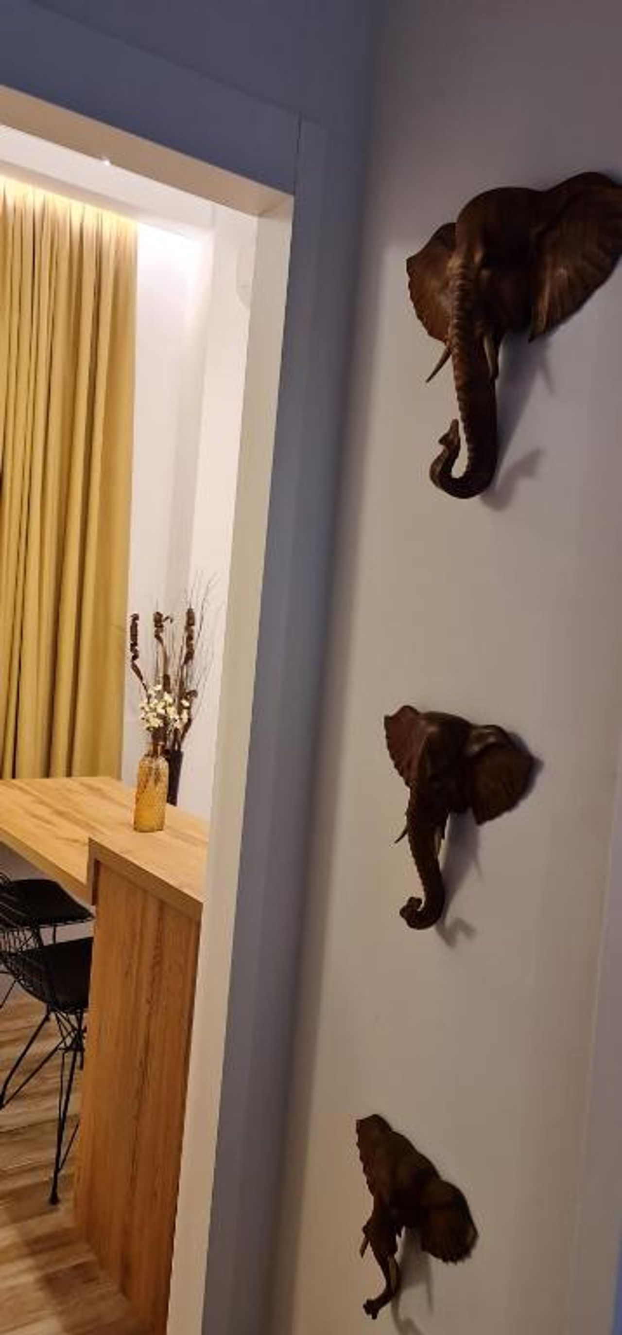 Luxury Apartment