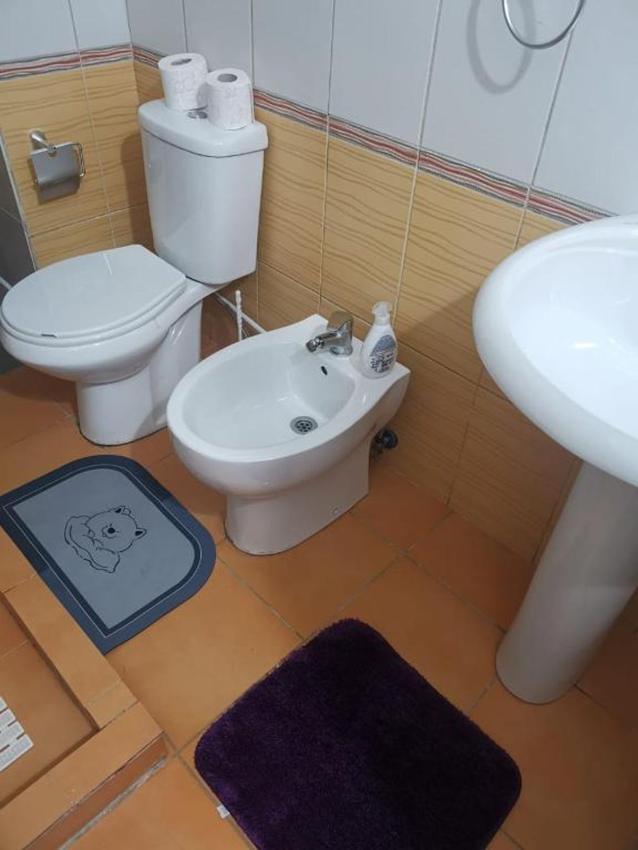 Downtown apartment Tirana (Myslym Shyri)