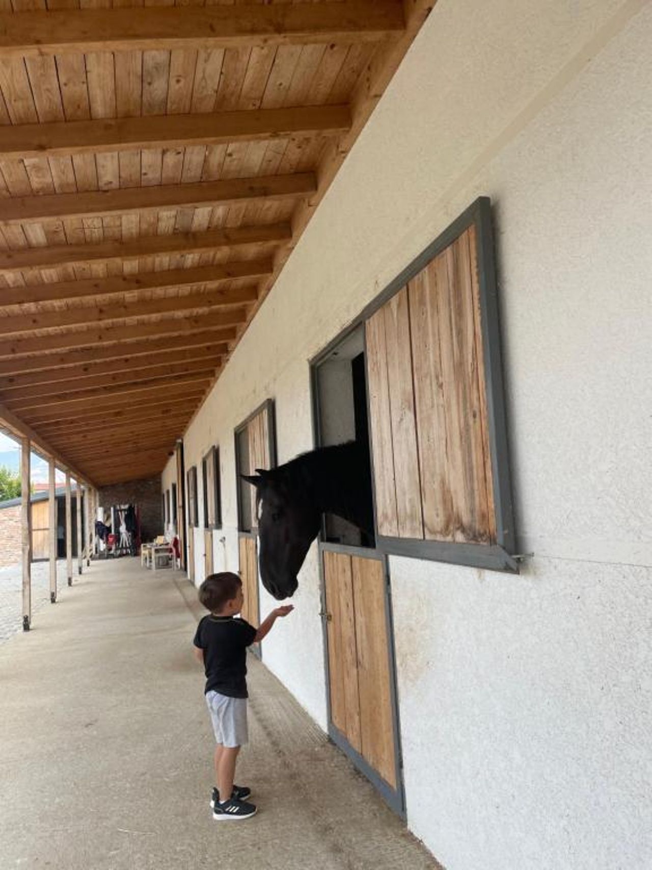 House of Horses Shtepia e Kuajve