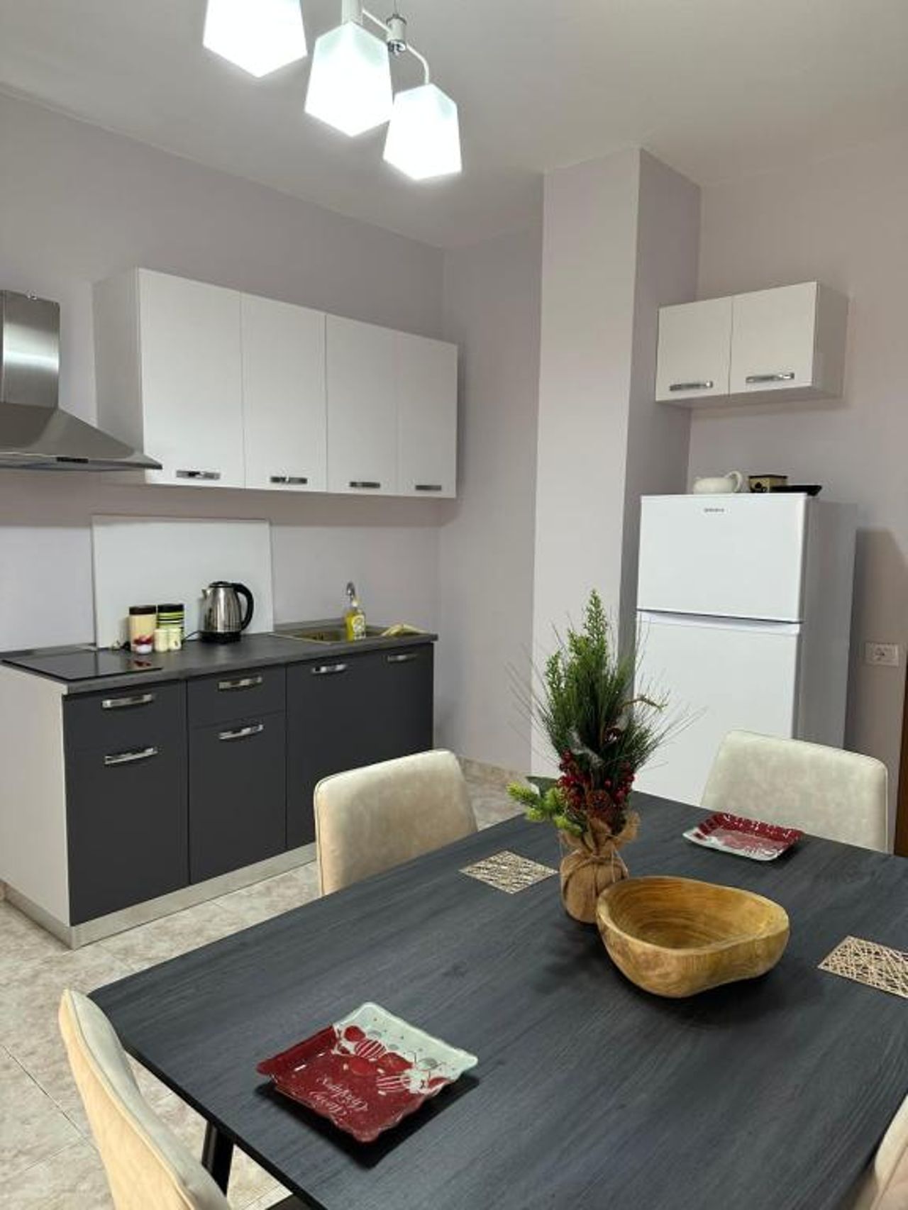 Cozy and spacios apartment in Ish Blloku