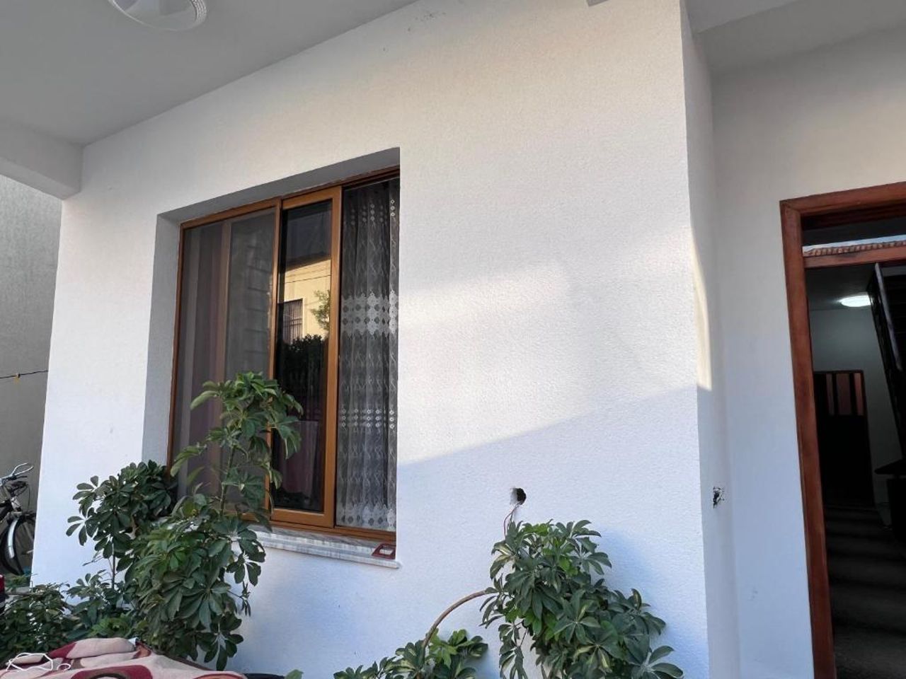 David Guesthouse
